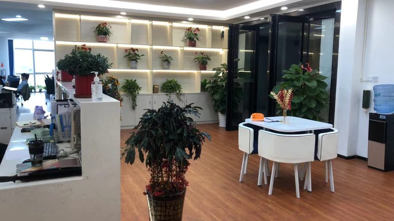 政府审批可行性研究报告，流程解析与时间预估